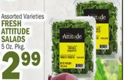 Bravo Supermarkets FRESH ATTITUDE SALADS offer