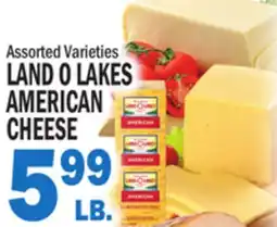 Bravo Supermarkets LAND O LAKES AMERICAN AMERICAN CHEESE offer