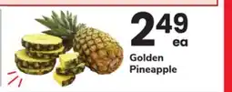 ACME Golden Pineapple offer