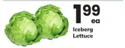 ACME Iceberg Lettuce offer