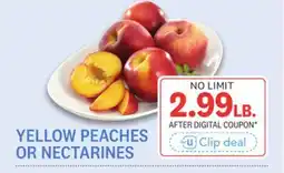 Kings Food Markets YELLOW PEACHES OR NECTARINES offer