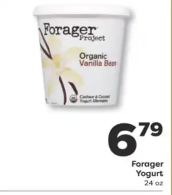 Weis Markets Forager Yogurt offer