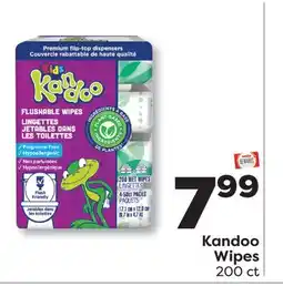 Weis Markets Kandoo Wipes offer
