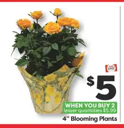 Weis Markets 4 Blooming Plants offer