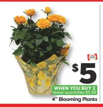 Weis Markets 4 Blooming Plants offer