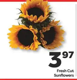 Weis Markets Fresh Cut Sunflowers offer