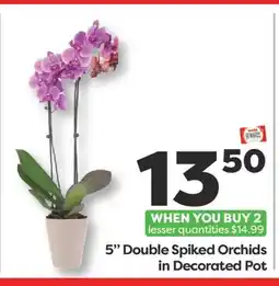 Weis Markets 5 Double Spiked Orchids in Decorated Pot offer