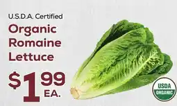 DeCicco & Sons Organic Romaine Lettuce offer