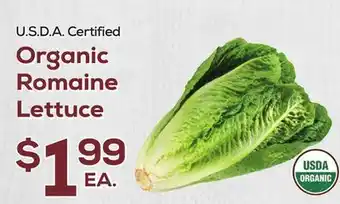 DeCicco & Sons Organic Romaine Lettuce offer