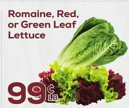 DeCicco & Sons Romaine, Red, or Green Leaf Lettuce offer