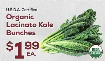DeCicco & Sons Lacinato Kale Bunches offer