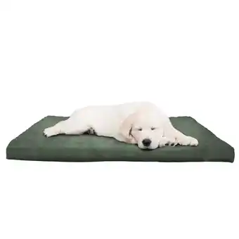Walmart PETMAKER 25.5x19-Inch Orthopedic Dog Bed with Removable Cover (Green) offer