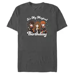 Walmart Men's Harry Potter It’s My Magical Birthday Cute Characters Graphic Tee Charcoal Heather 2X Large offer