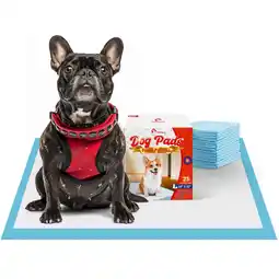 Walmart Tolobeve Puppy Pads Training Pads, Large, 22 in x 22 in, 25 Count Disposable Dog Pee Pet Pads offer