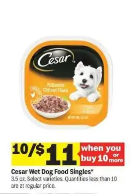Meijer Cesar Wet Dog Food Singles offer