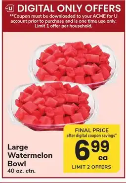 ACME Large Watermelon Bowl offer
