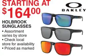Dunham's Sports HOLBROOK SUNGLASSES offer