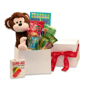 Walmart Gift Basket Drop Shipping Hang In There Get Well care Package offer