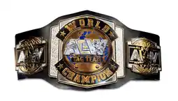 Walmart AEW 37 World Championship Title Belt offer