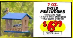 Ollie's DRIED MEALWORMS offer