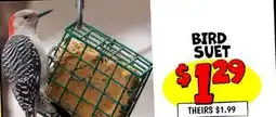 Ollie's BIRD SUET offer