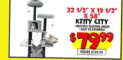 Ollie's KITTY CITY offer