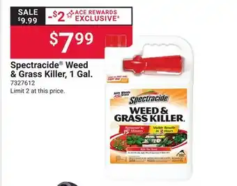 Ace Hardware Spectracide Weed & Grass Killer, 1 Gal offer