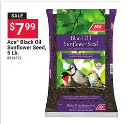 Ace Hardware Ace Black Oil Sunflower Seed, 5 Lb offer