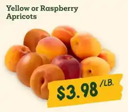Sprouts Farmers Market Yellow or Raspberry Apricots offer
