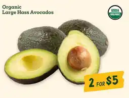 Sprouts Farmers Market Organic Large Hass Avocados offer