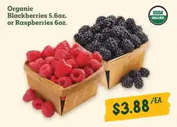 Sprouts Farmers Market Organic Blackberries offer