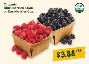 Sprouts Farmers Market Organic Blackberries offer