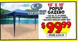 Ollie's 10' x 10' POPUP GAZEBO offer