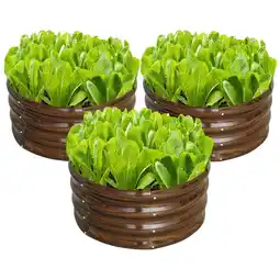 Walmart SnugNiture 2x2x1 ft Metal Raised Garden Bed Outdoor, Raised Beds Kit for Planting Plants (3 Pcs) offer