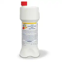 Walmart Pool Frog BAM Algae KNOCK-OUT CHAMP 90-Day Algae Protection (24 oz) offer