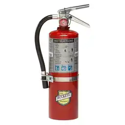 Walmart Buckeye ABC Portable Fire Extinguishers offer