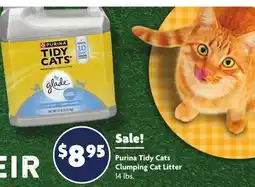 Family Dollar Purina Tidy Cats Clumping Cat Litter offer