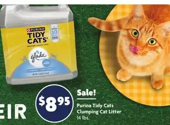 Family Dollar Purina Tidy Cats Clumping Cat Litter offer