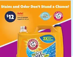 Family Dollar Arm & Hammer Liquid offer