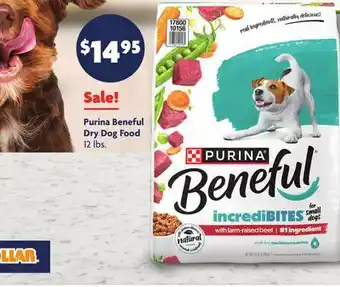 Family Dollar Purina Beneful Dry Dog Food offer