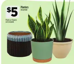 Dollar General Planters offer