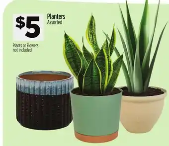 Dollar General Planters offer