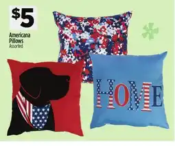 Dollar General Americana Pillows offer