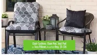 Dollar General Chair Cushion, Chair Pad, Seat Pad or Toss Pillows offer