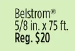 Dollar General Belstrom offer