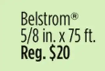 Dollar General Belstrom offer