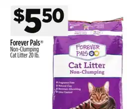 Dollar General Forever Pals Non-Clumping Cat Litter offer
