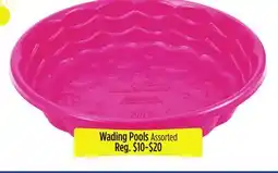 Dollar General Wading Pools offer