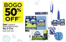 Dollar General Dawn Sponges or Kitchen Brushes offer