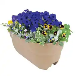 Walmart Bloomers Rail Planter 24 in. Multi Planter - Sand offer